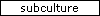 subculture